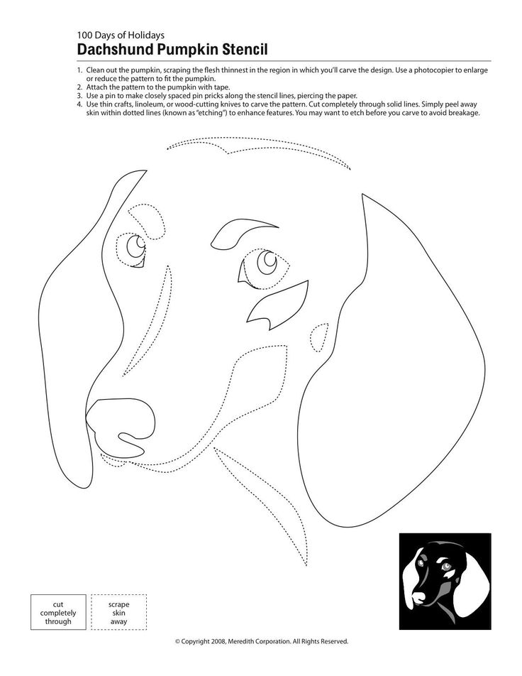 a drawing of a dog's face with the words dachshund pumpkin stencil