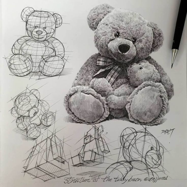 pencil sketches drawing studies Teddy Bear Sketch, Teddy Bear Drawing, Bear Sketch, Structural Drawing, Perspective Drawing Lessons, Bear Drawing, Object Drawing, Perspective Art, Drawing Studies