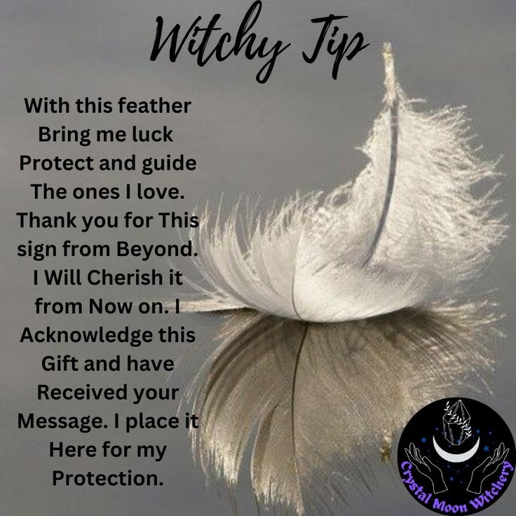 What Do White Feathers Mean, Crow Feather Meaning, Feather Witchcraft, Grey Feather Meaning, Peacock Feather Meaning, Finding A Black Feather Meaning, Black And White Feather Meaning, White Feather Meaning, White Feather Spiritual Meaning