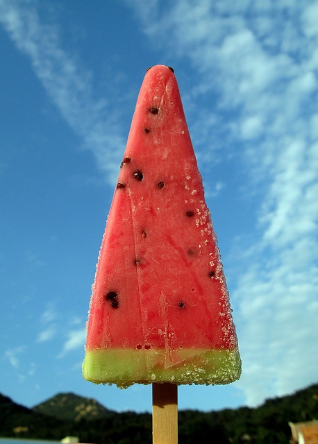 a watermelon popsicle sitting on top of a wooden stick next to the ocean