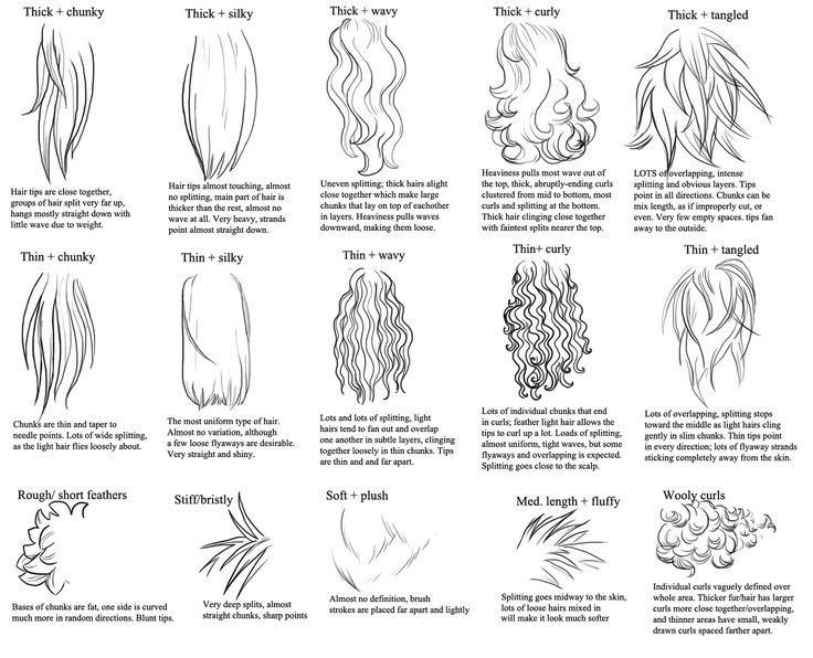 an image of different types of hair and how to use it in the drawing process