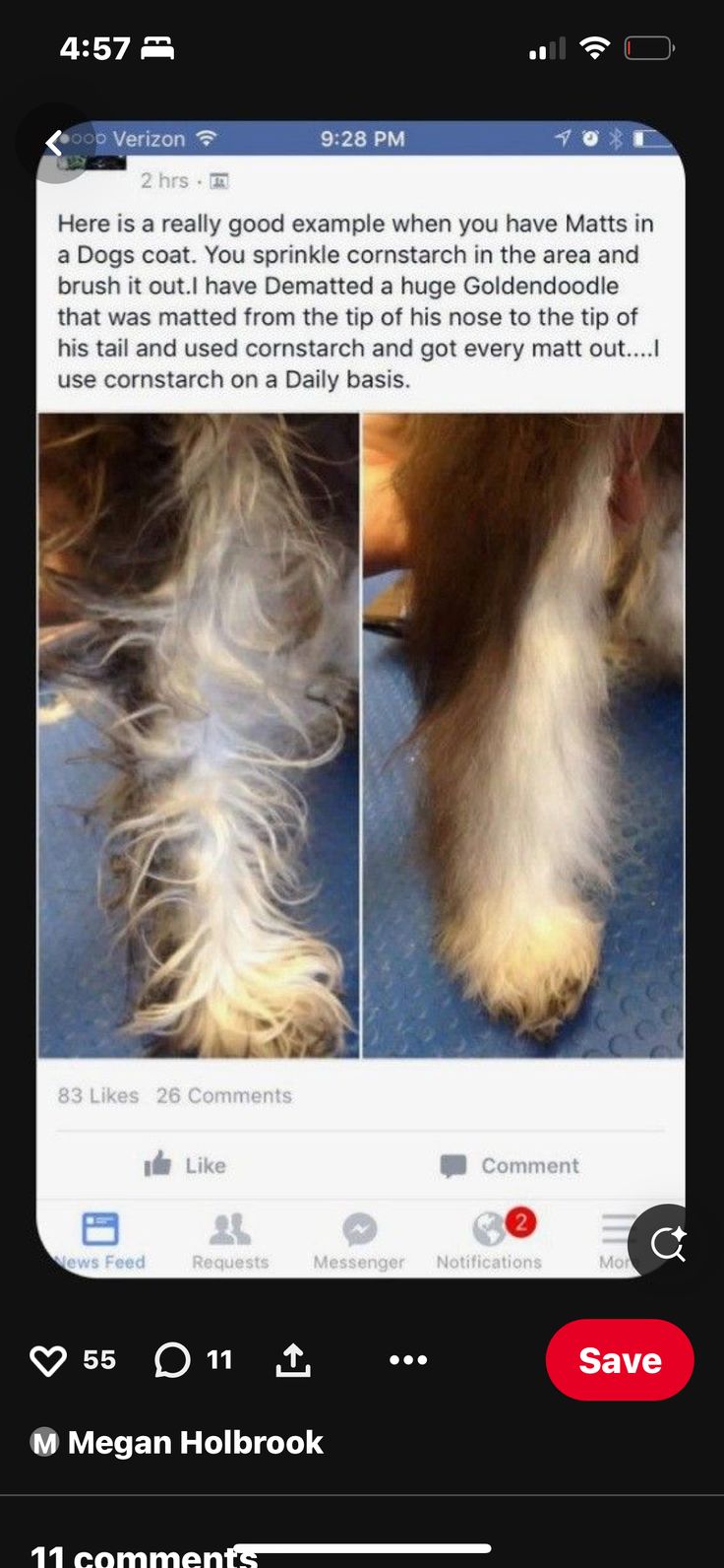 an instagramted photo of a dog's feet and paws