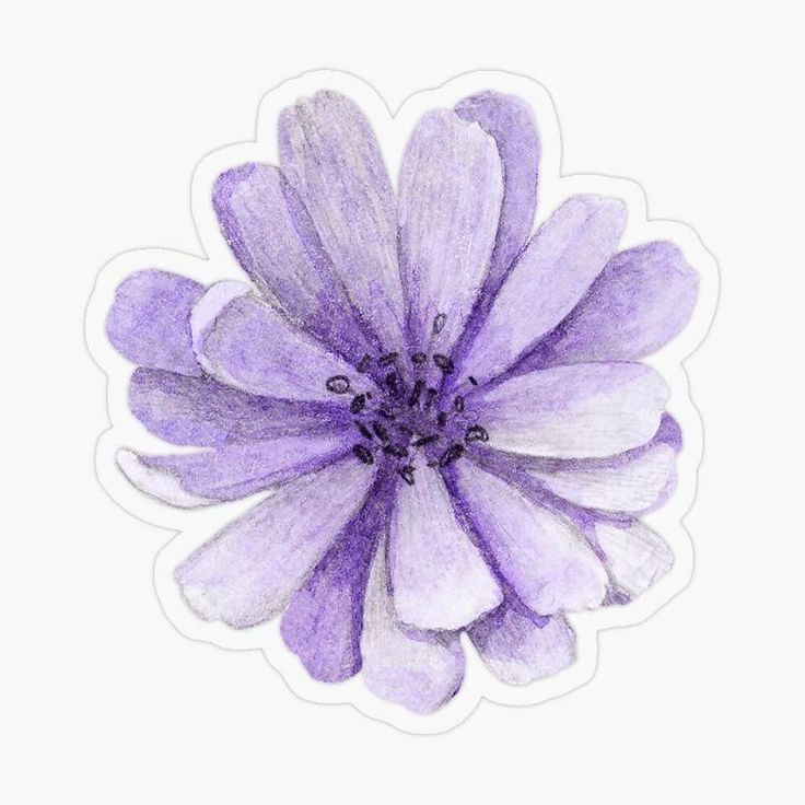 a purple flower sticker on a white background