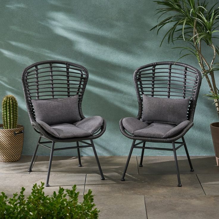 two chairs sitting next to each other near a potted plant