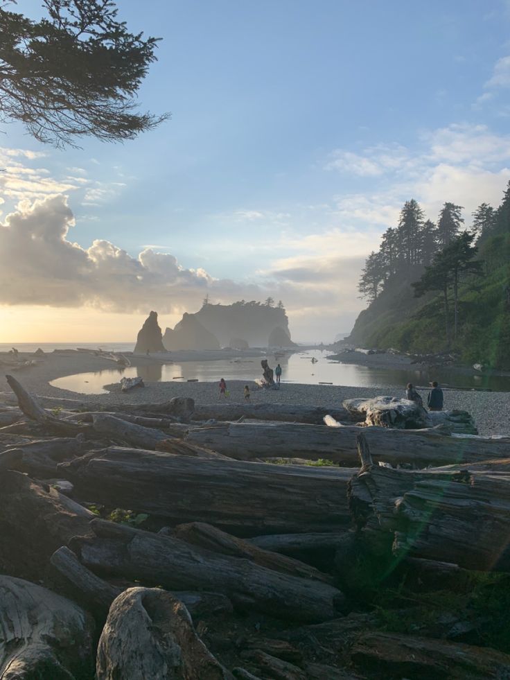 people are standing on the beach near some trees and logs in the foreground, as the sun is setting