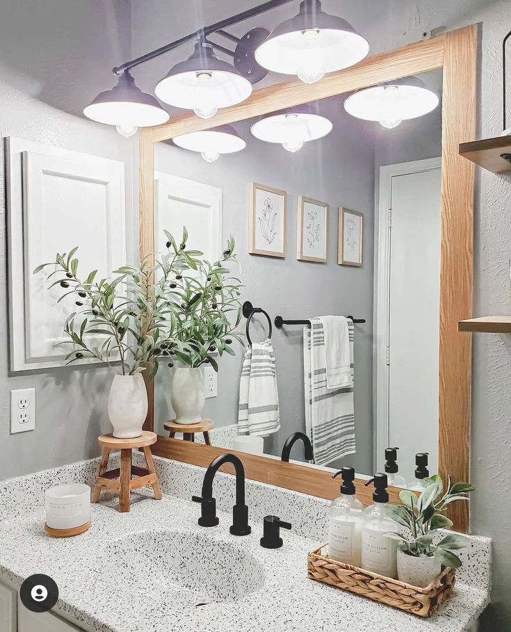 a bathroom with a sink, mirror and potted plants on the counter in front of it