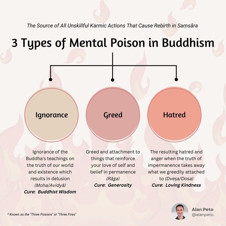 the three types of mental prison in buddhaism infographical poster on white background