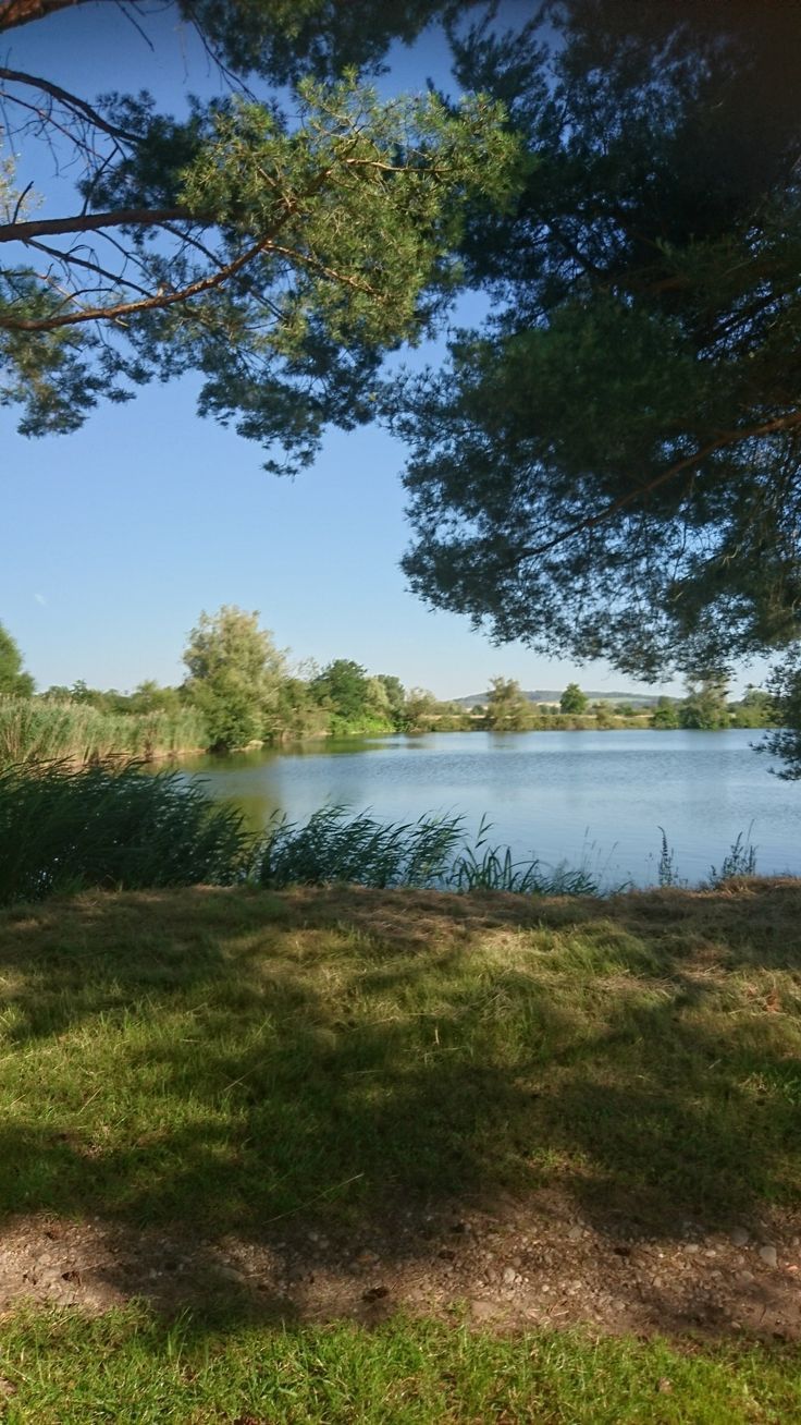 a large body of water sitting next to a lush green forest