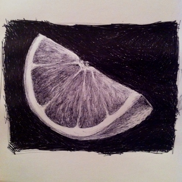 a drawing of a grapefruit cut in half