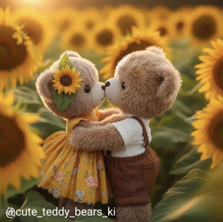 two teddy bears are standing in a field of sunflowers and one is kissing the other