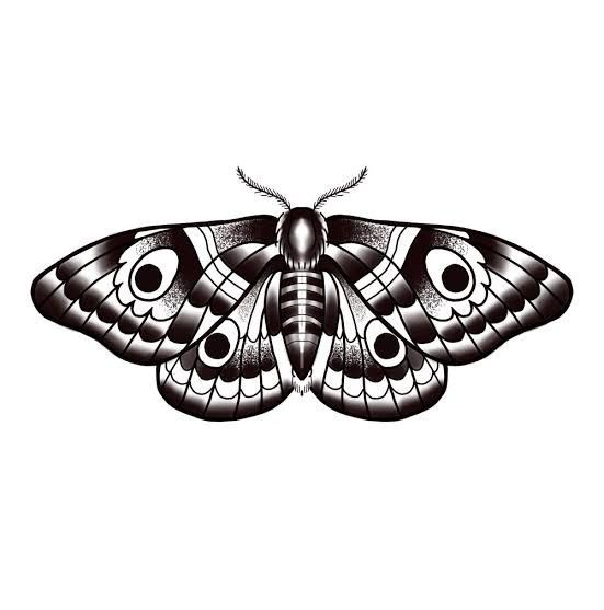 a black and white drawing of a moth