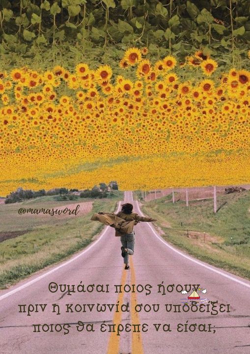 a person walking down the middle of a road with sunflowers