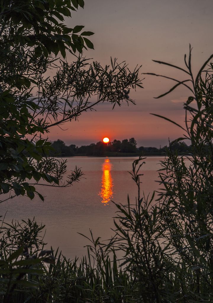 the sun is setting over water with trees in foreground and an orange glow on the horizon