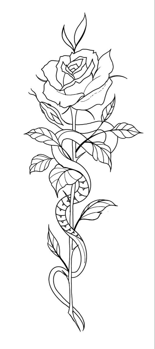 Arm Tattoos For Women Half Sleeves, Begginer Tattoo Designs, Tattoo Stencils Outline For Women, Tattoo Ideas Female Stencil, Snake And Rose Tattoo, Growth Tattoos, Demon Tattoos, Black People Tattoos, Half Sleeve Tattoo Stencils