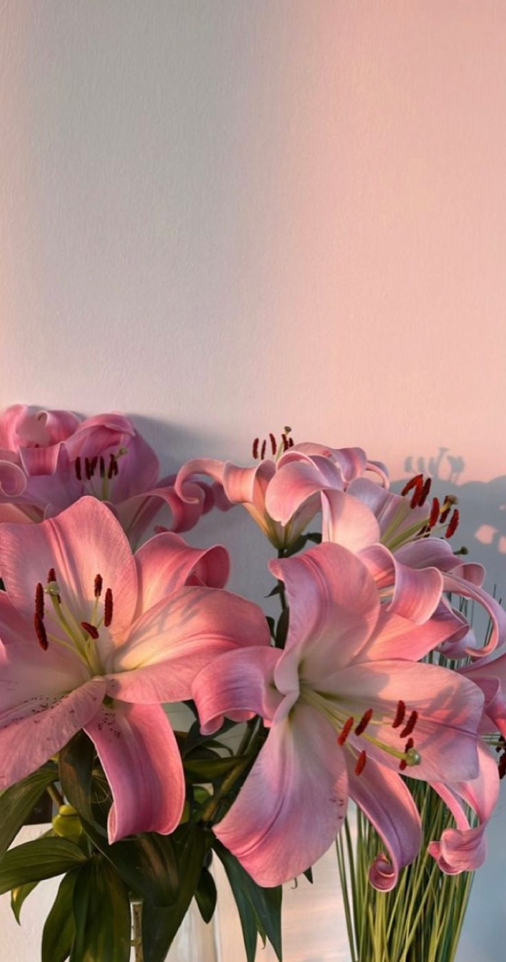 some pink flowers are in a clear vase on a table with white walls behind them