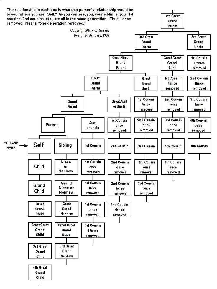 the family tree is shown in black and white, as well as several other words