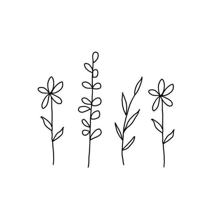 four different types of flowers are shown in black ink on a white background with the words,