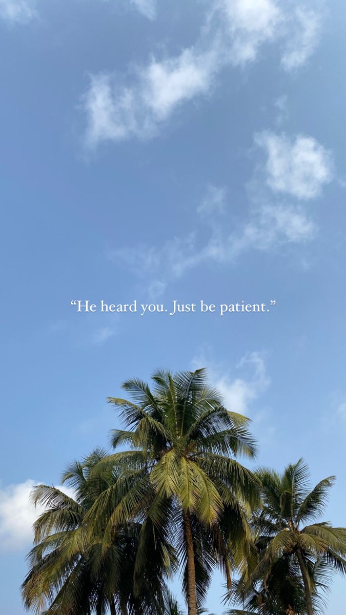 two palm trees with the words he heard you, just be patient