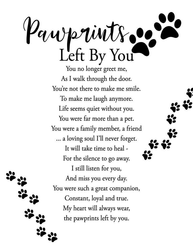 a poem written in black and white with paw prints on the bottom, which reads'pawprints left by you '