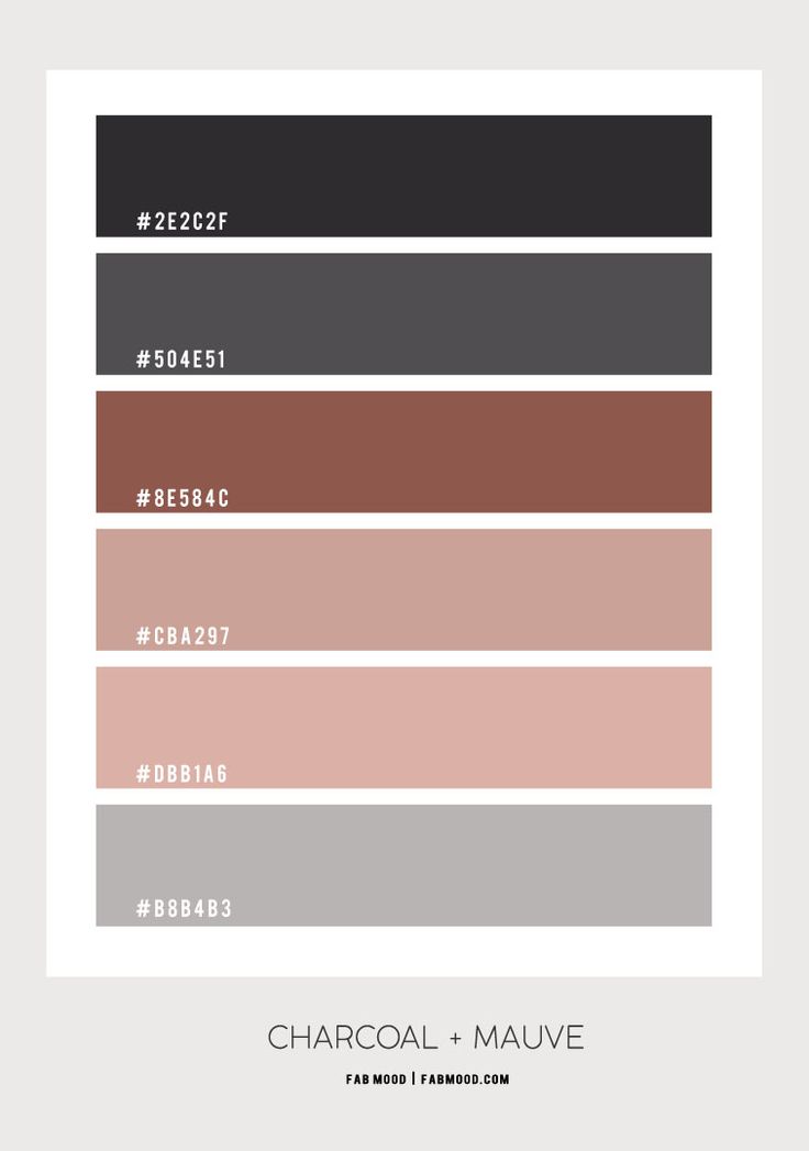 the color palette for earth tone