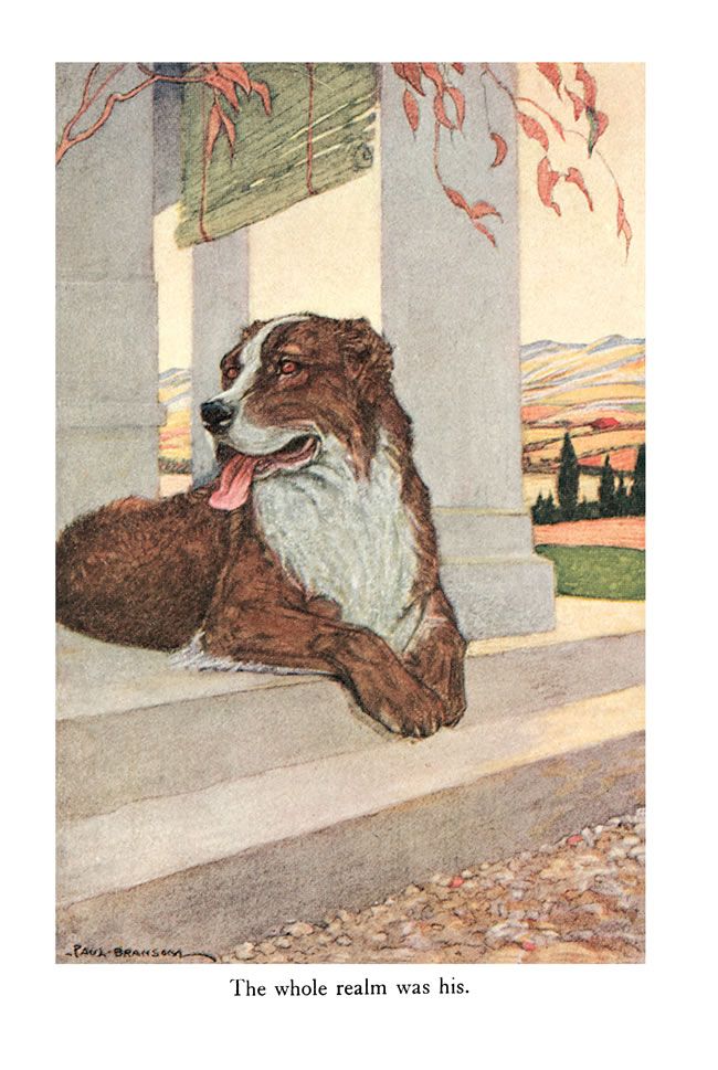 an illustration of a dog laying on the ground