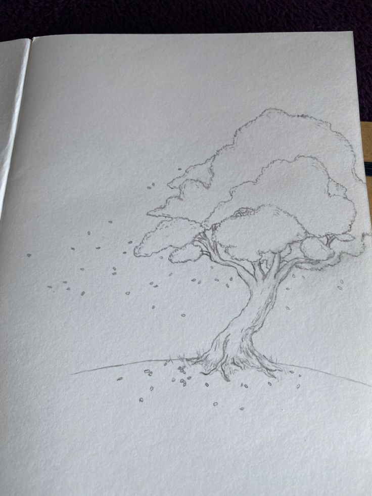 a pencil drawing of a tree on paper