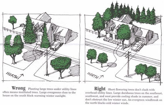 two diagrams showing the different types of trees in front and back of houses, with text describing