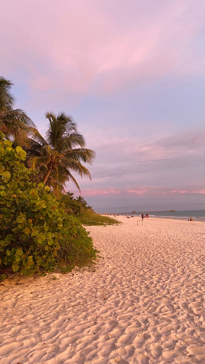 a sandy beach with palm trees and people walking on it