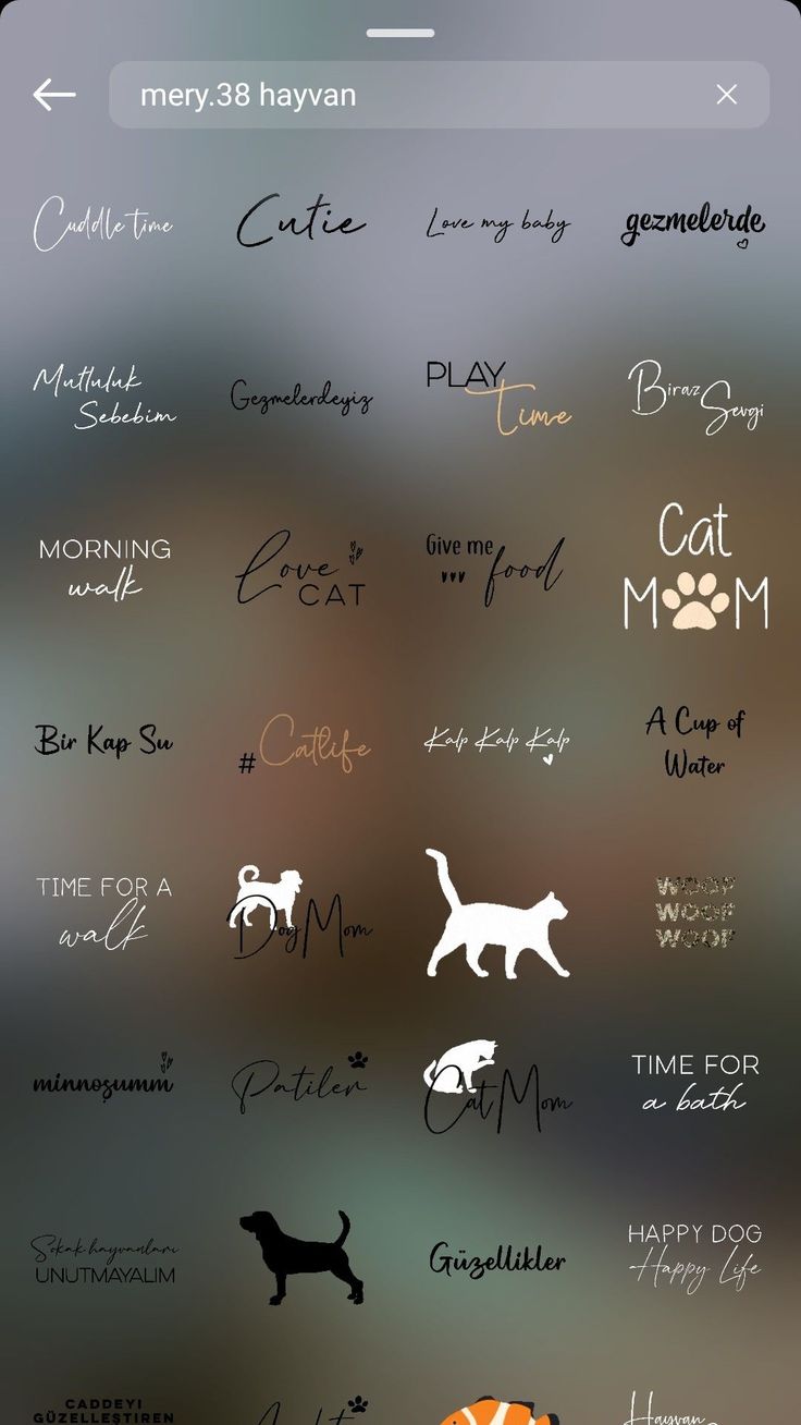 an iphone screen with some cats and dogs on it