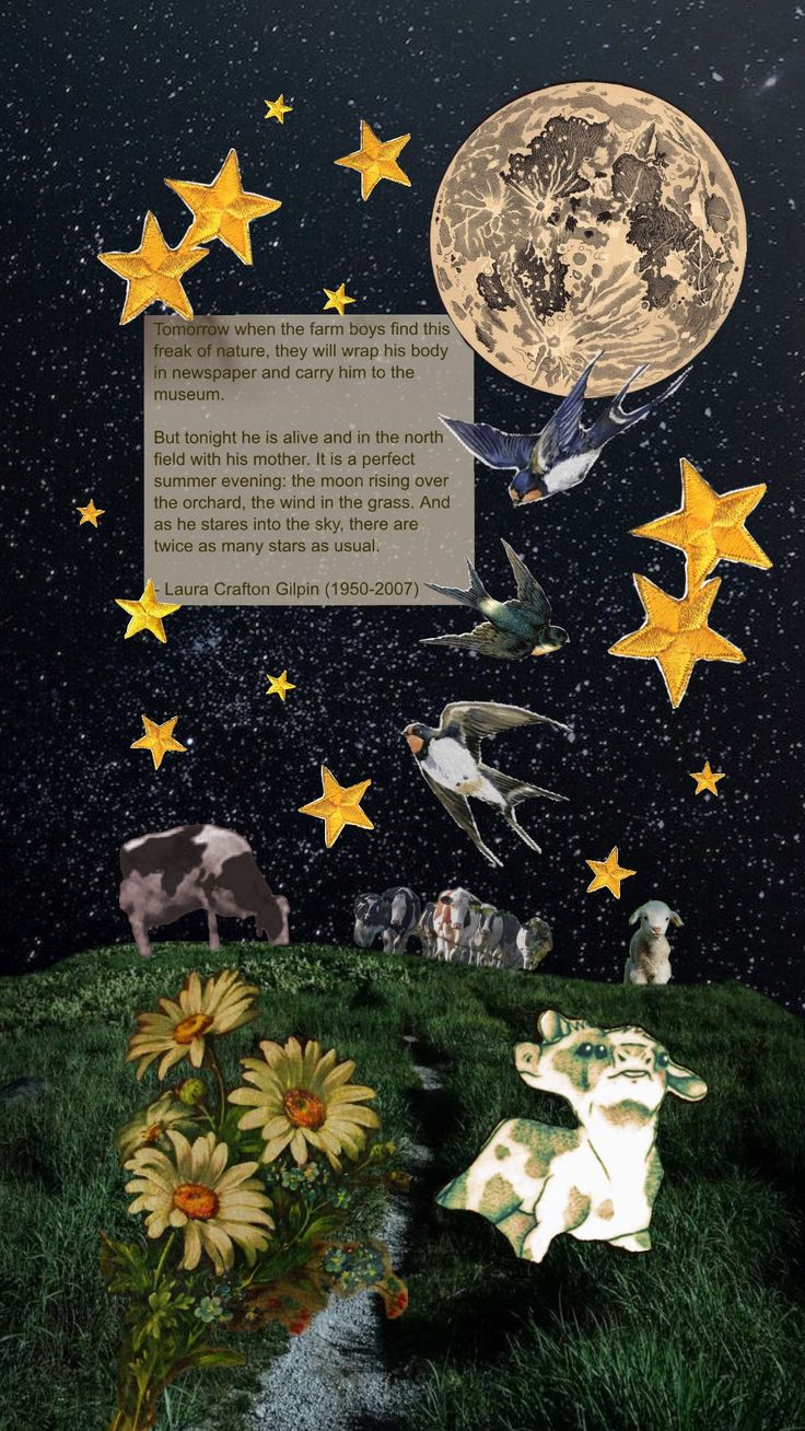 an altered photograph of animals and stars in the night sky with a poem written on it