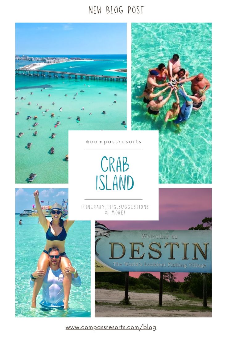 some people are in the water and one is holding a sign that says crab island