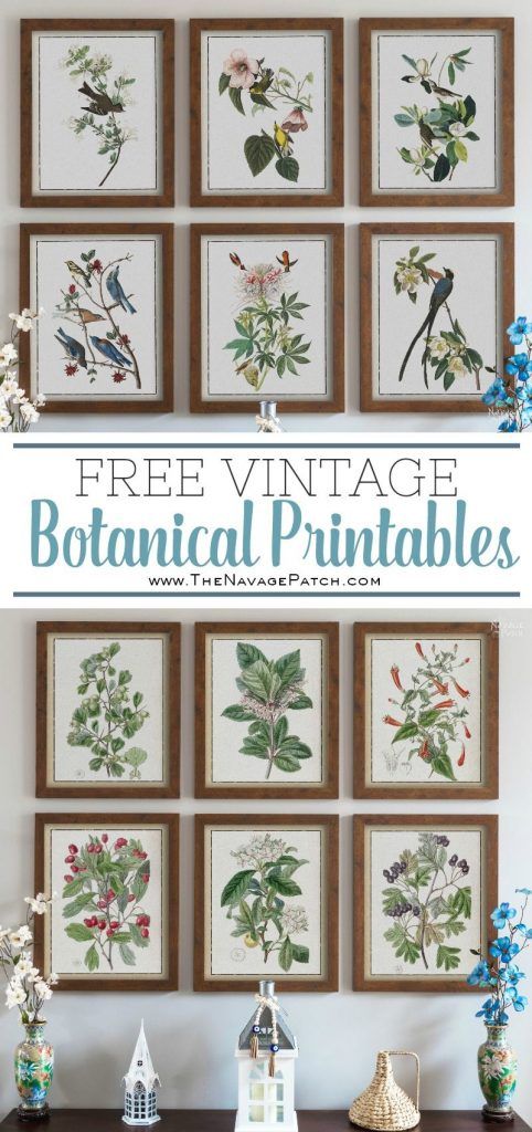 the vintage botanical printables are on display