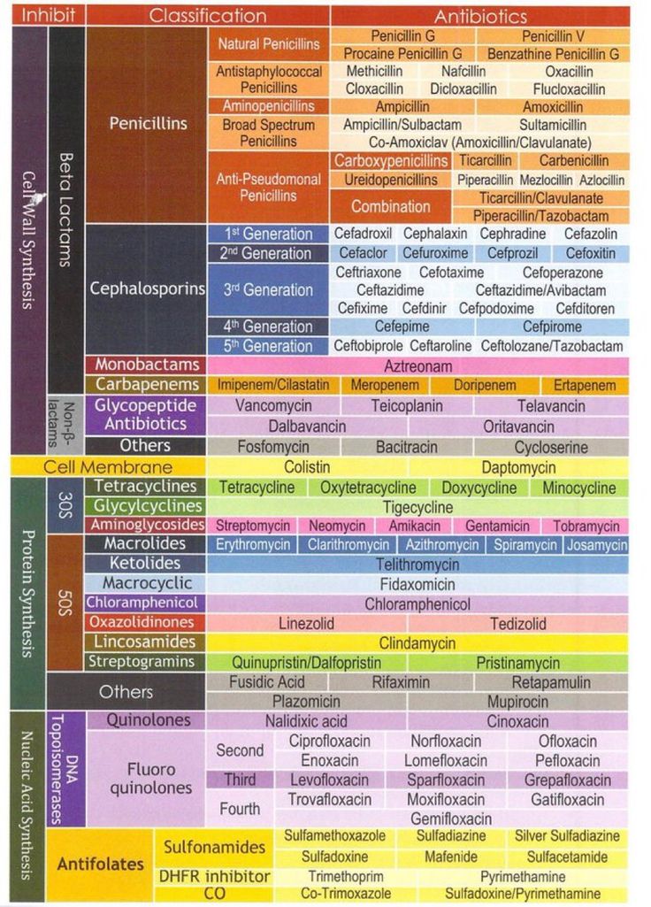 a poster with different types of words and numbers on the bottom half of each page