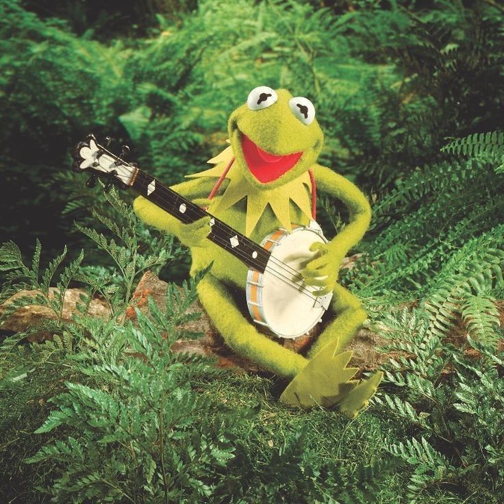 kermik playing the banjo while sitting in ferns