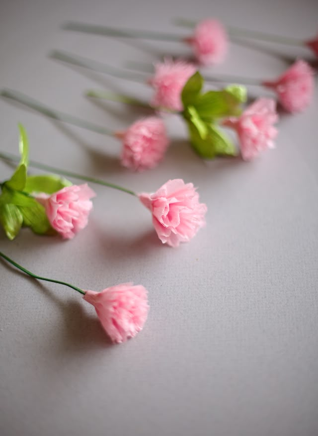 pink carnations with green leaves are arranged in a row on a white surface