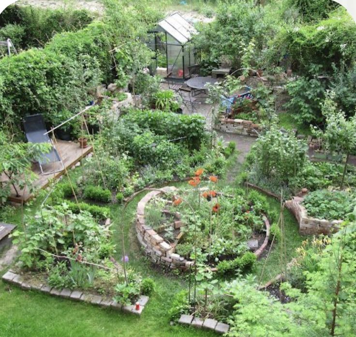 an aerial view of a garden with lots of plants