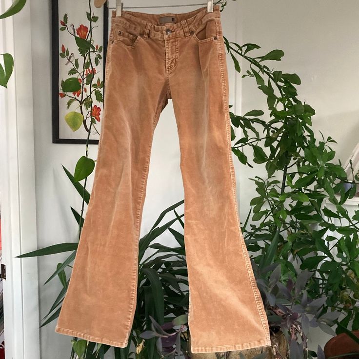 ~Stretchy, Brown, Corduroy Pants, Size 3 ~Low/Mid Rise ~98% Cotton, 2% Spandex Low Rise Brown Corduroy Pants Outfit, Brown Corduroy Pants Outfit, Corduroy Pants Outfit, Brown Corduroy Pants, Brown Corduroy, Corduroy Pants, Pants Outfit, Boot Cut, Low Rise