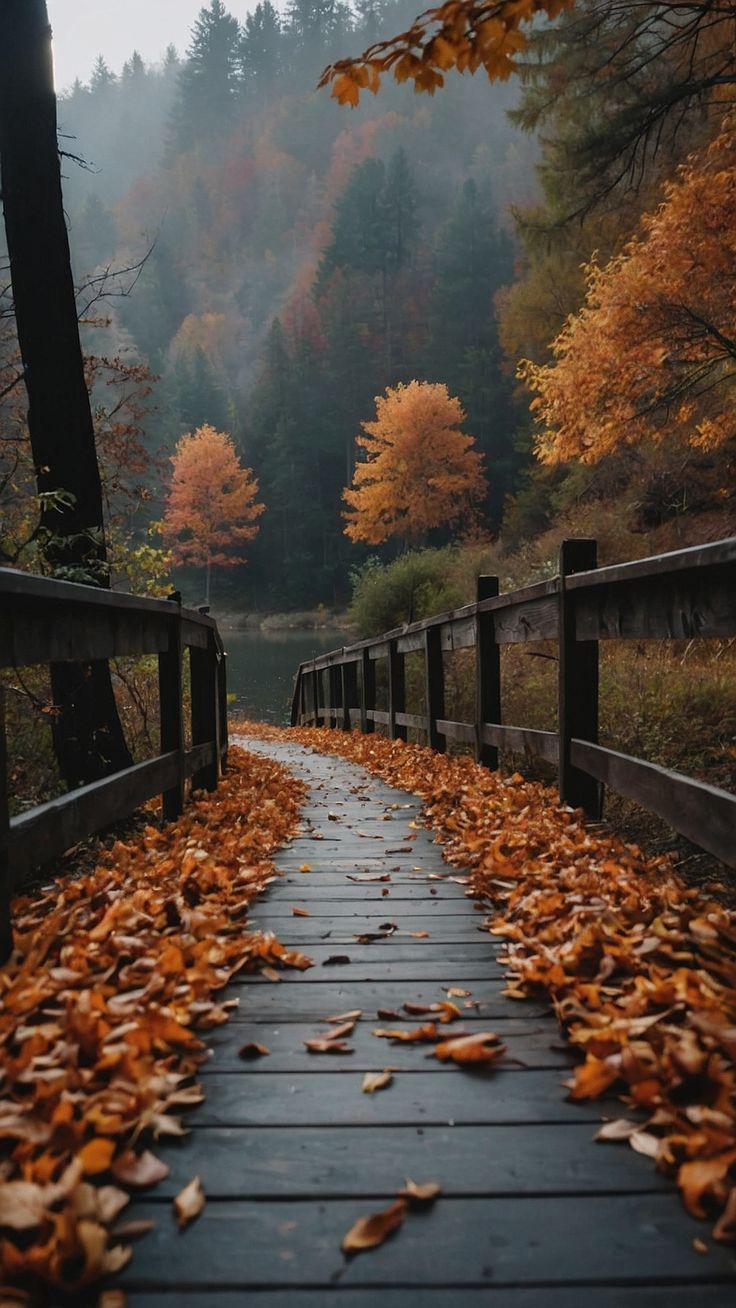 a wooden walkway with leaves on the ground and trees in the background that are changing colors