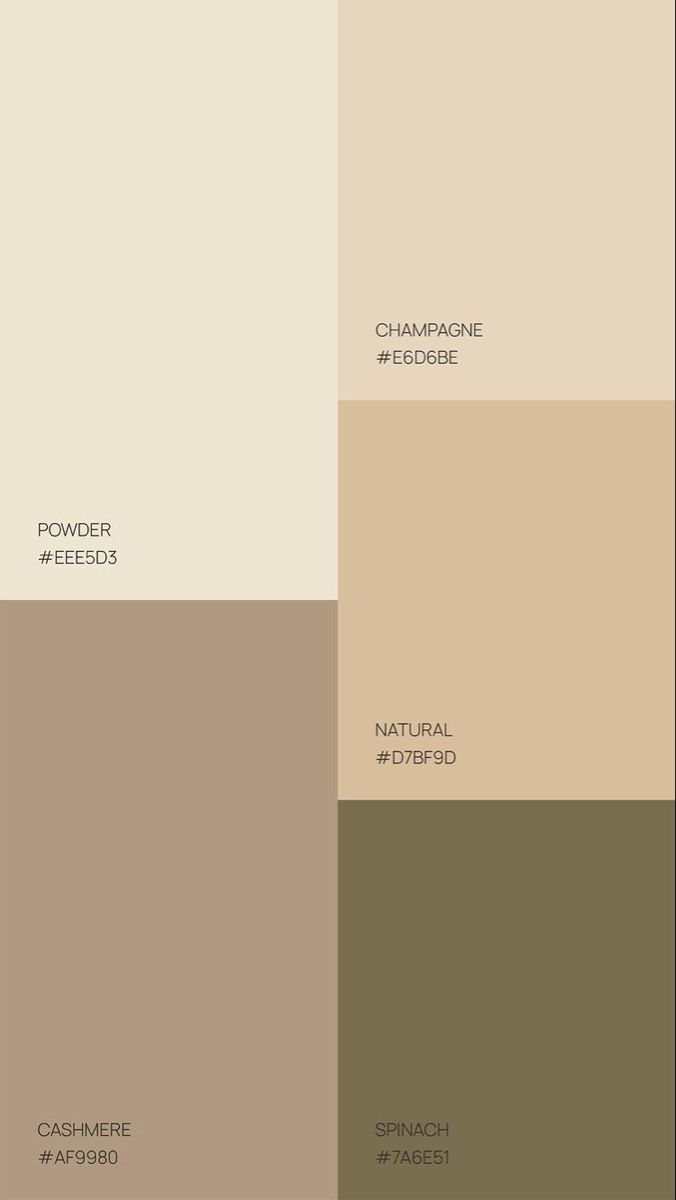 the different shades of beige and brown are shown in this color scheme, which is also neutral