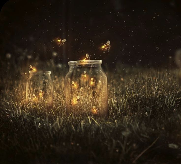 three mason jars with fairy lights in them sitting on the grass at night, surrounded by fireflies