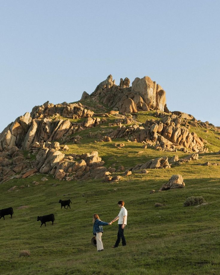 two people holding hands while walking through a field with cows in front of a mountain