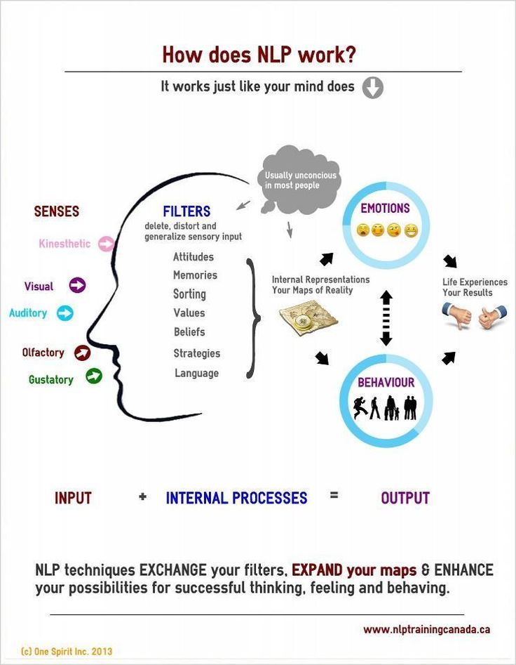 an info sheet with the words how does nip work?