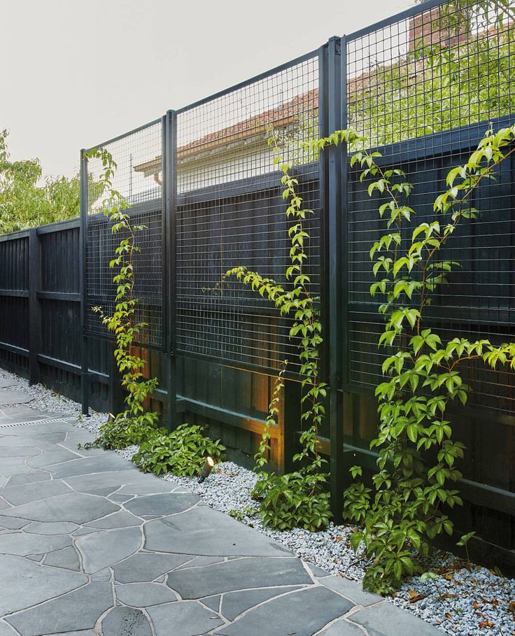 a black fence with green plants growing on it and stone walkway in the foreground