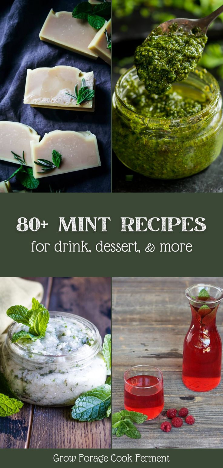 the cover of 30 + mint recipes for drink, dessert and more