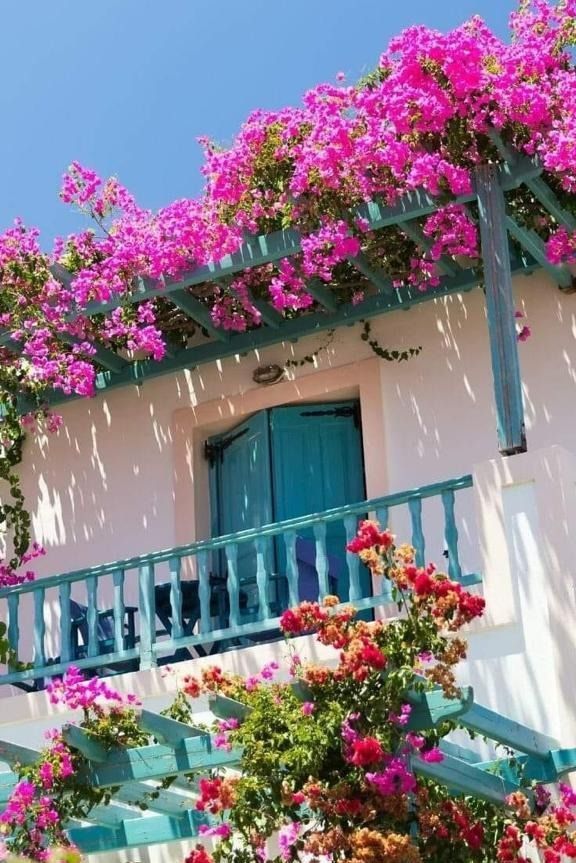 pink flowers growing on the side of a white building with blue doors and railings