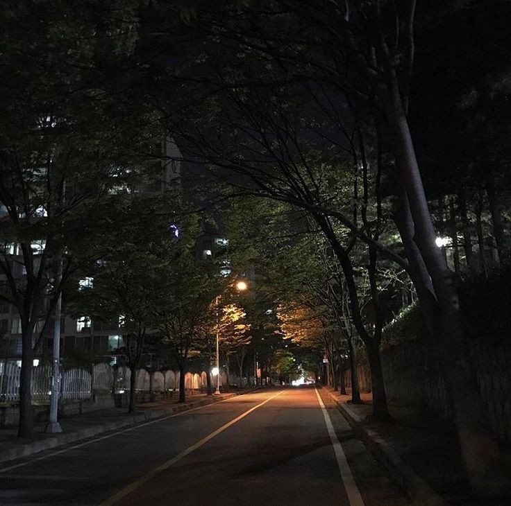 an empty street at night with trees and buildings in the backgroung area