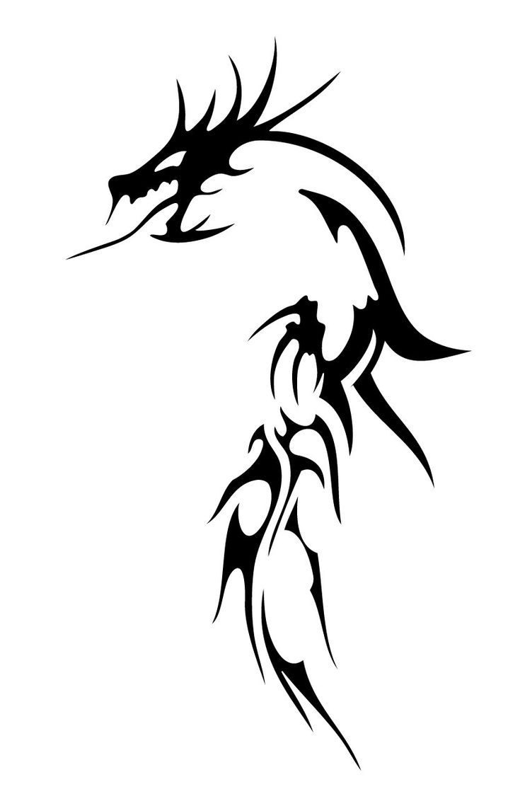 a black and white dragon tattoo design