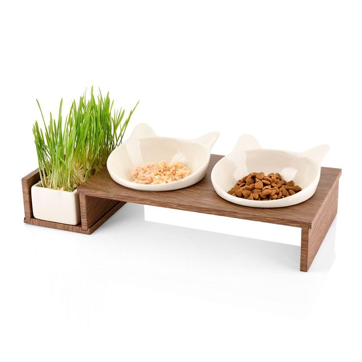 two bowls with cereal and wheat on a wooden table next to green grass in white ceramic containers