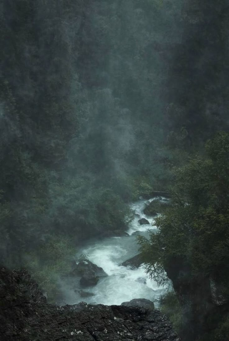 a river running through a forest filled with trees