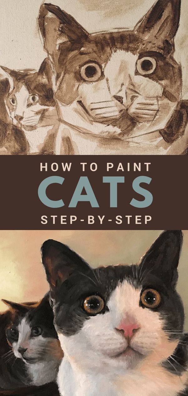 two cats are shown with the title how to paint cats step - by - step